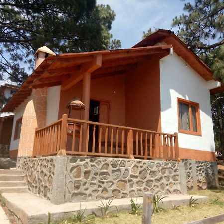 Вилла Cabanas Del Bosque Мазамитла Экстерьер фото