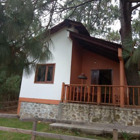 Вилла Cabanas Del Bosque Мазамитла Экстерьер фото