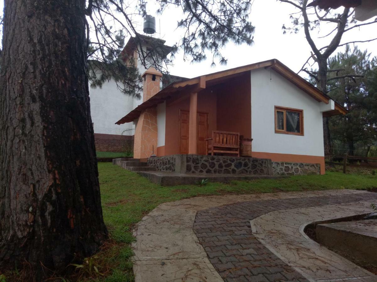 Вилла Cabanas Del Bosque Мазамитла Экстерьер фото
